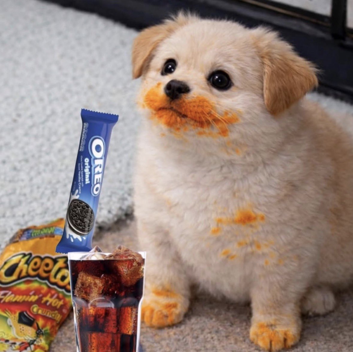 twaniimals's tweet photo. https://t.co/oWdLeyqnq2
