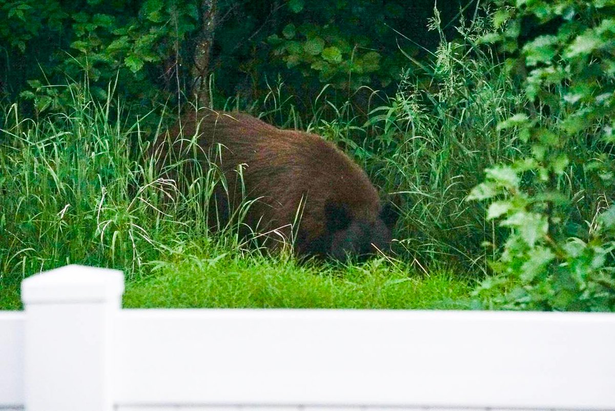 L. Steven Beene II tweet media