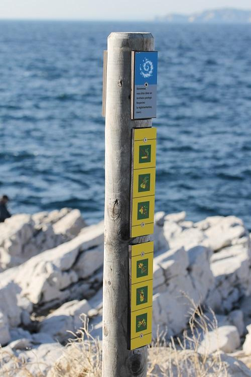 Pr. Choumpchoupi tweet media