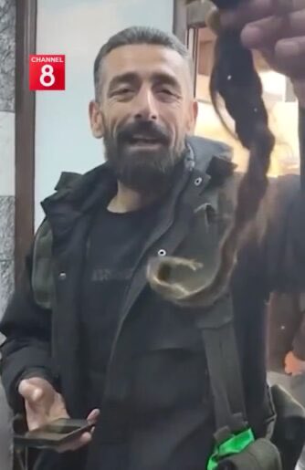 AMEDVARİ tweet media