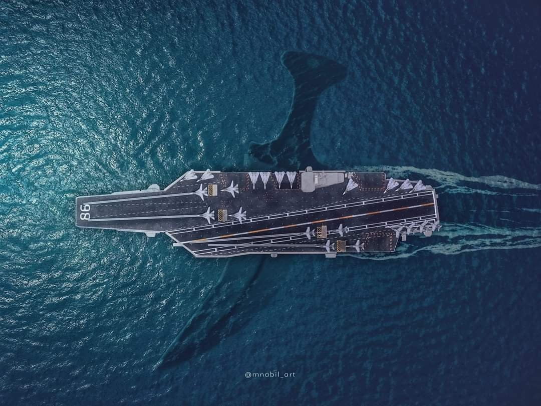 AlRahabi Muhammad 🔻| 🇾🇪(حيدر) tweet media