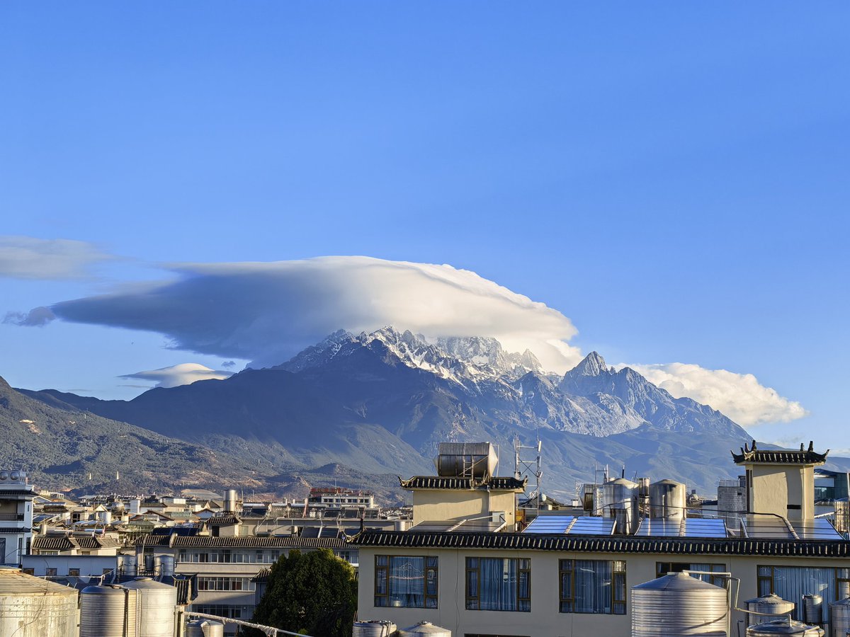 丽江洛洛 tweet media