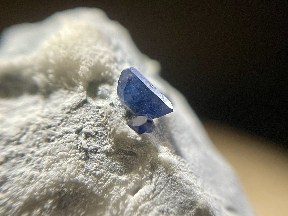 天然逆さめがね tweet media