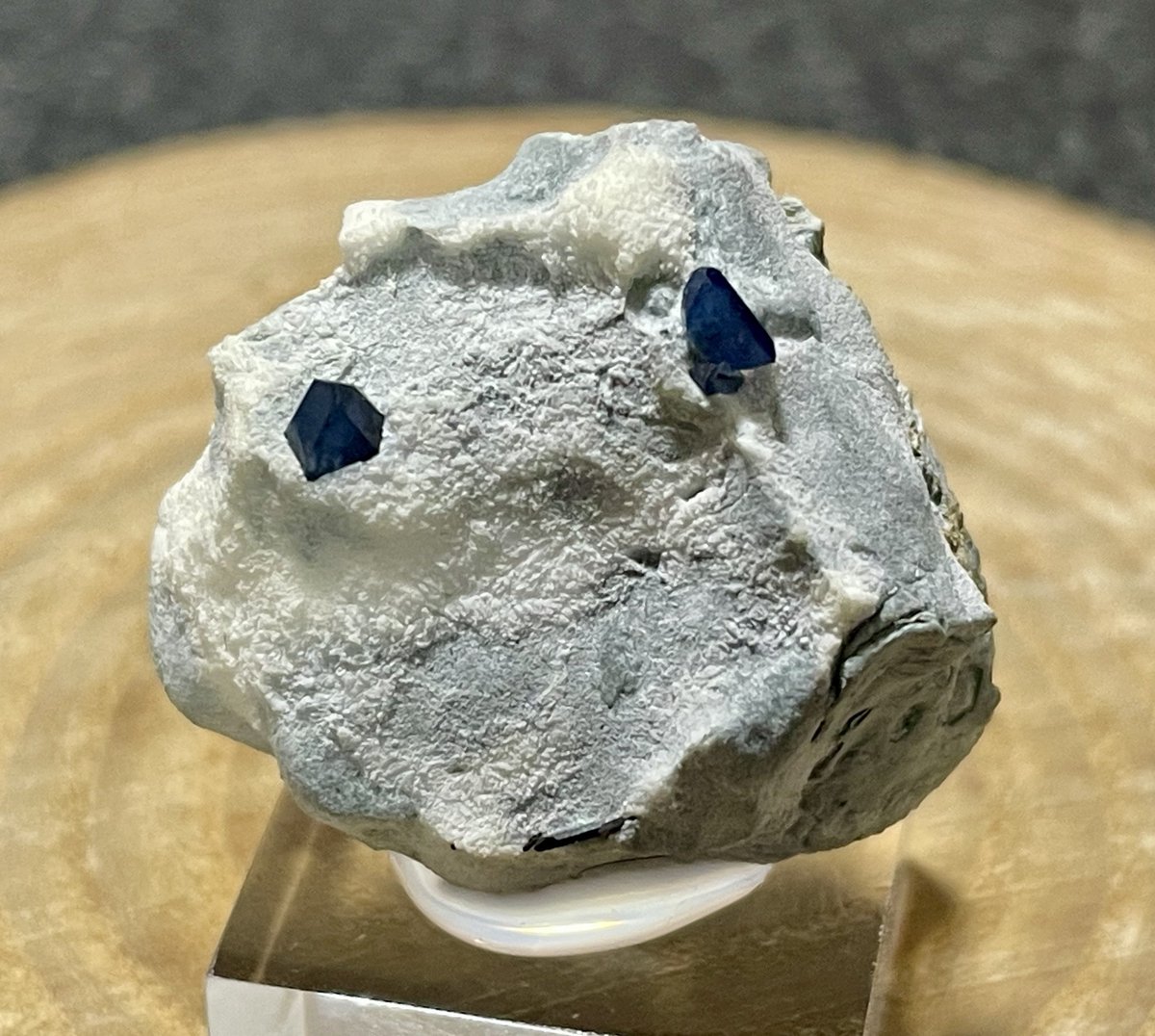 天然逆さめがね tweet media