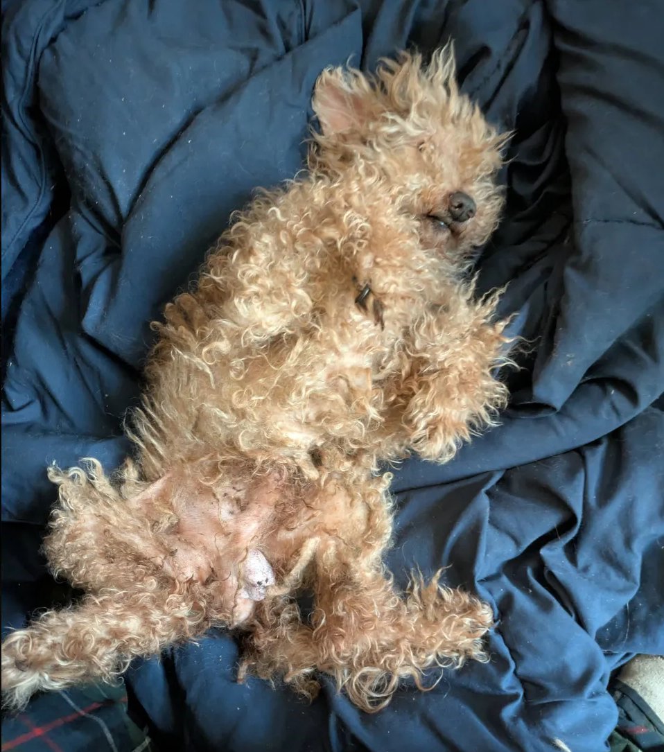 Mr. Imagination tweet media