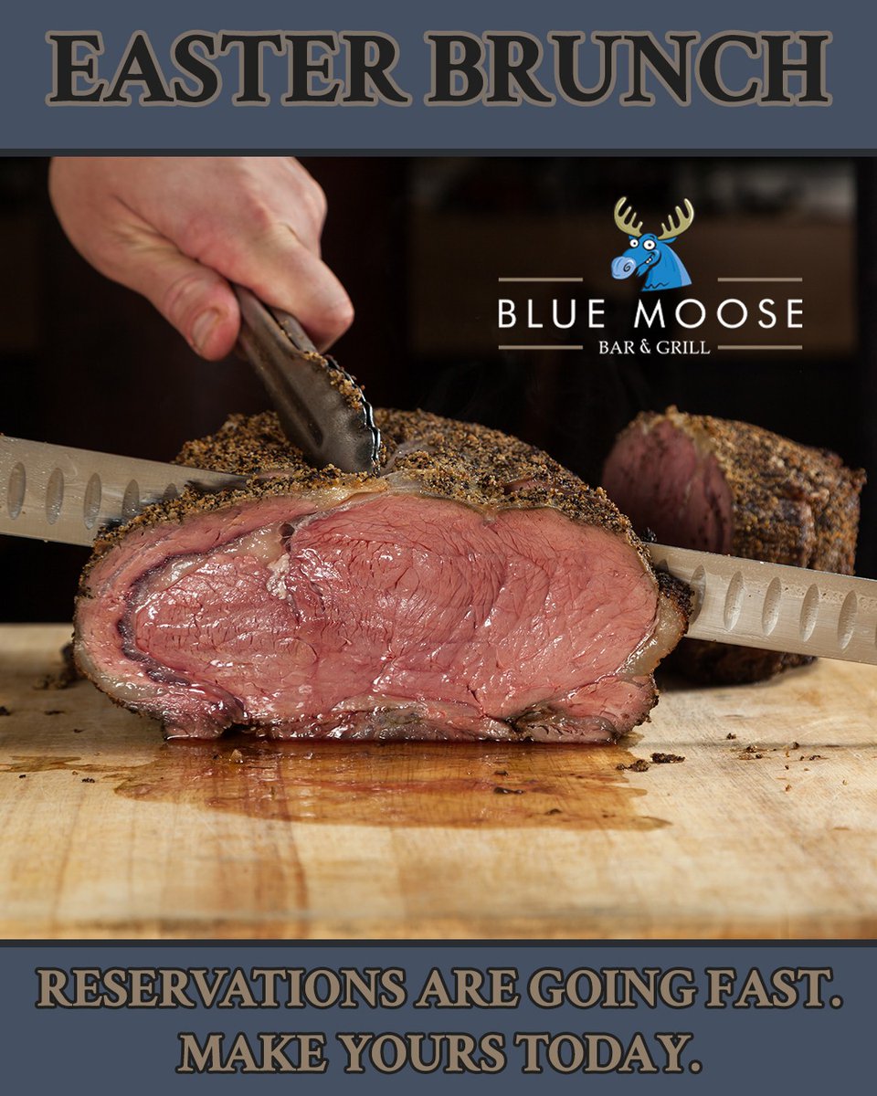 Blue Moose tweet media