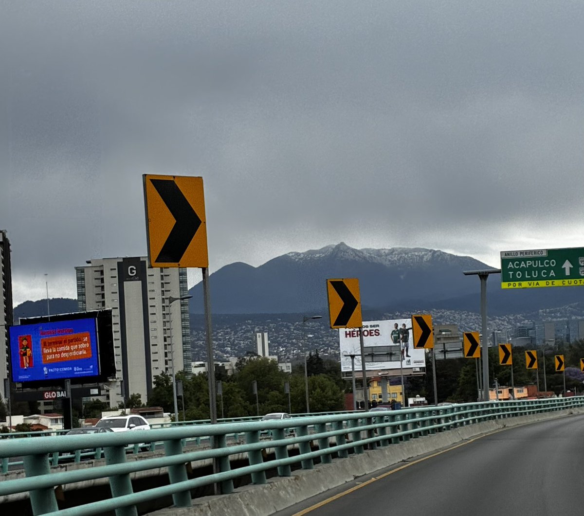 Lorena Rivera🐻‍❄️🐺🐱 tweet media