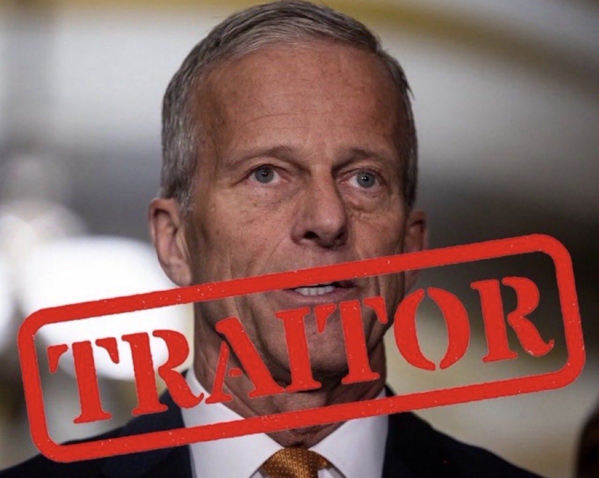 Tracey Adamms tweet media