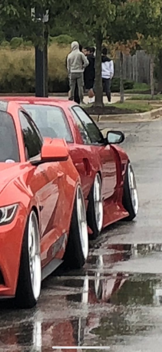 dimitrije tweet media