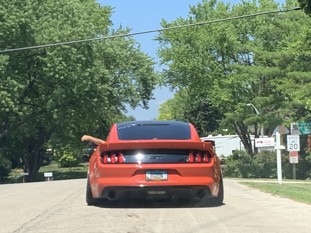 dimitrije tweet media