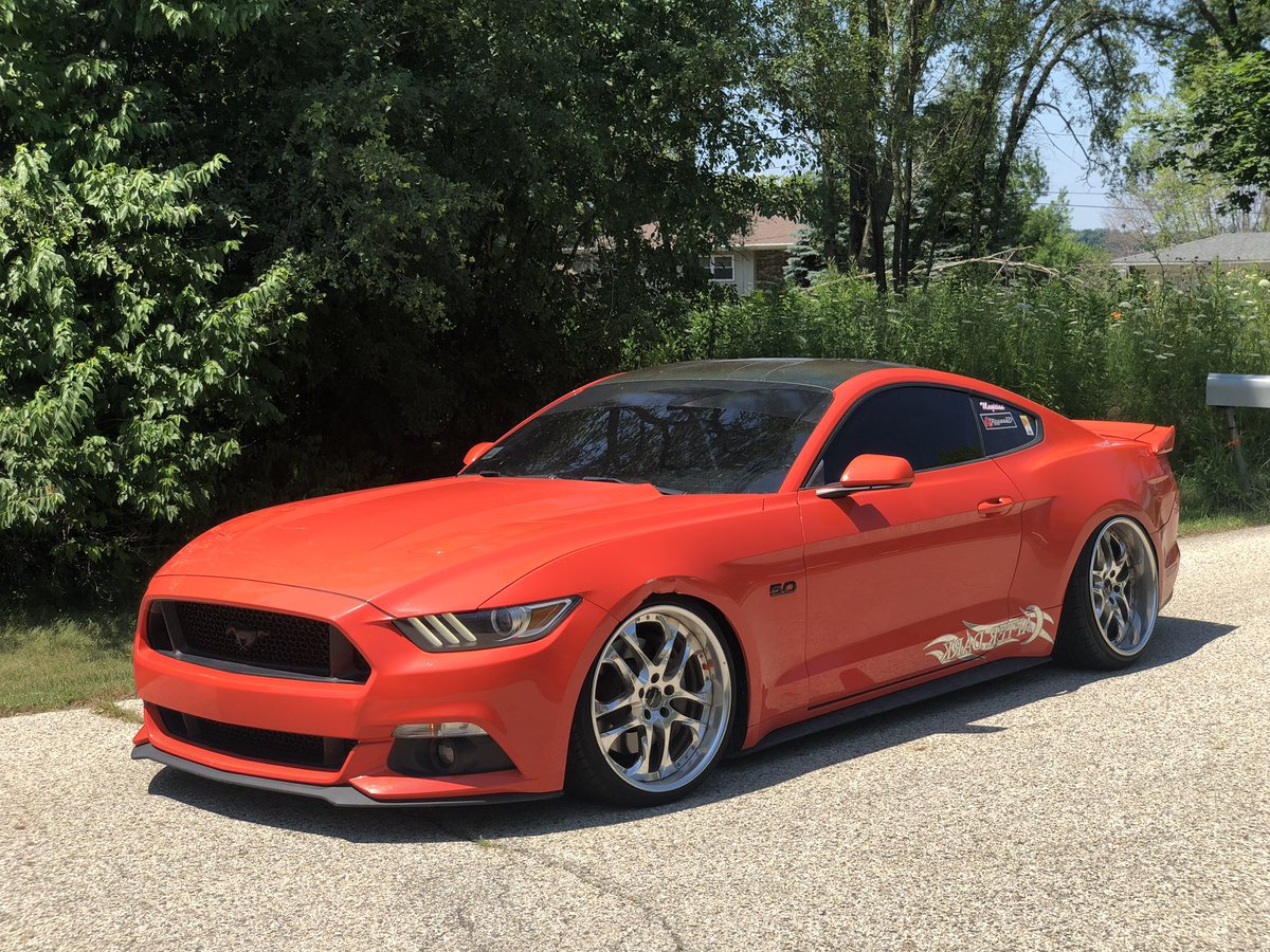 dimitrije tweet media