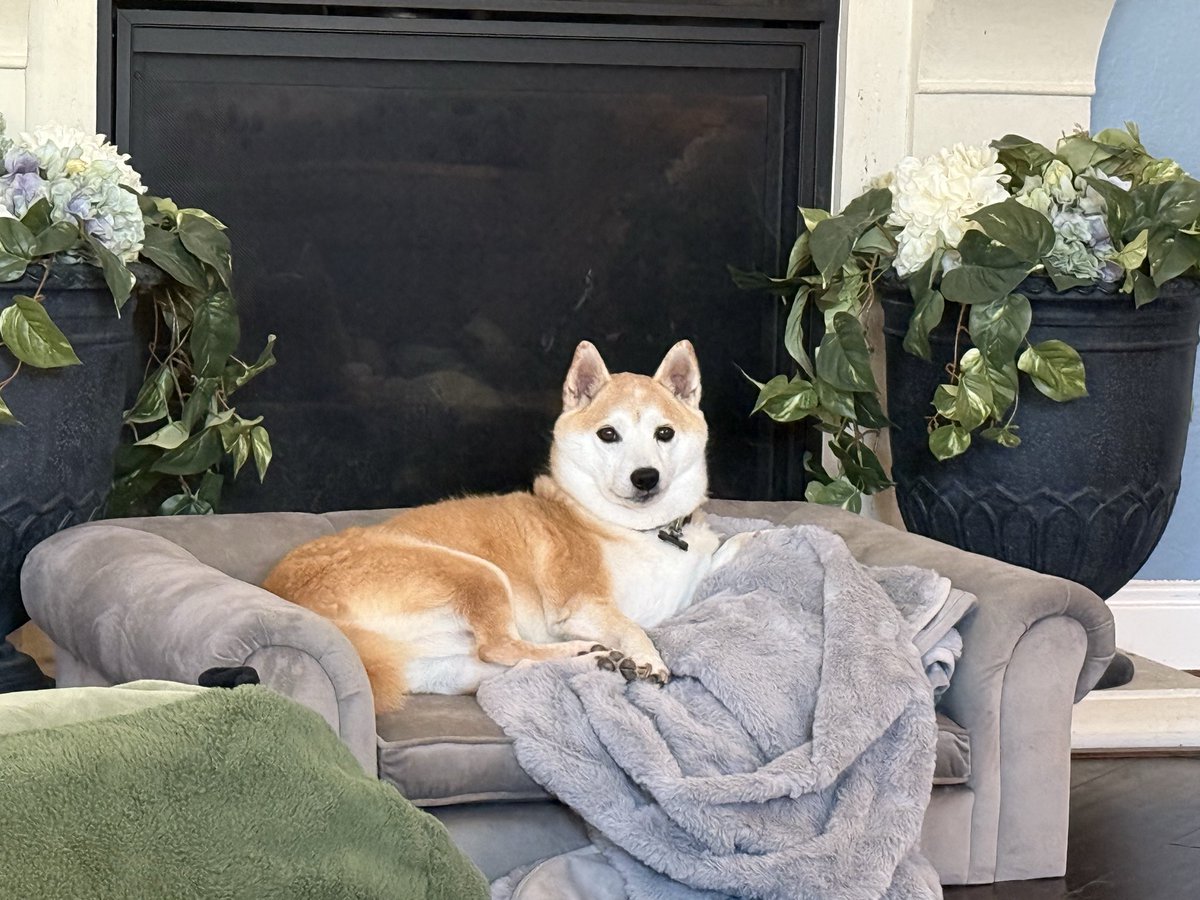 Gatesnaps tweet media