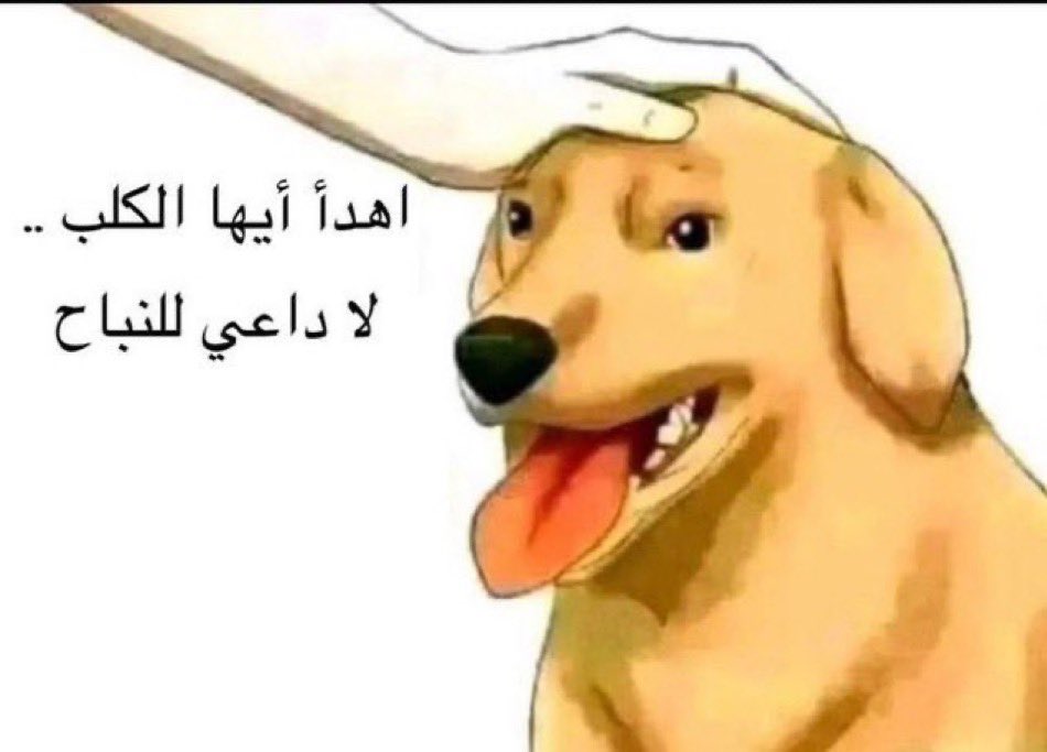 ddeeb17's tweet photo. @hureyaksa مشرد من احد بارات لندن جاي يستشرف علينا البخ بس https://t.co/SjQTdNTihH