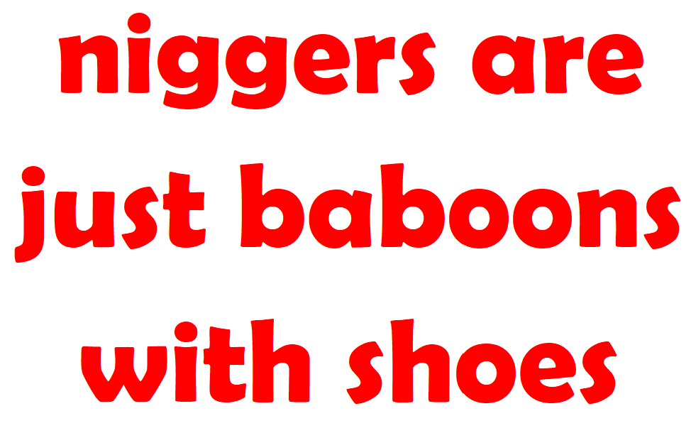 staz kas tweet media