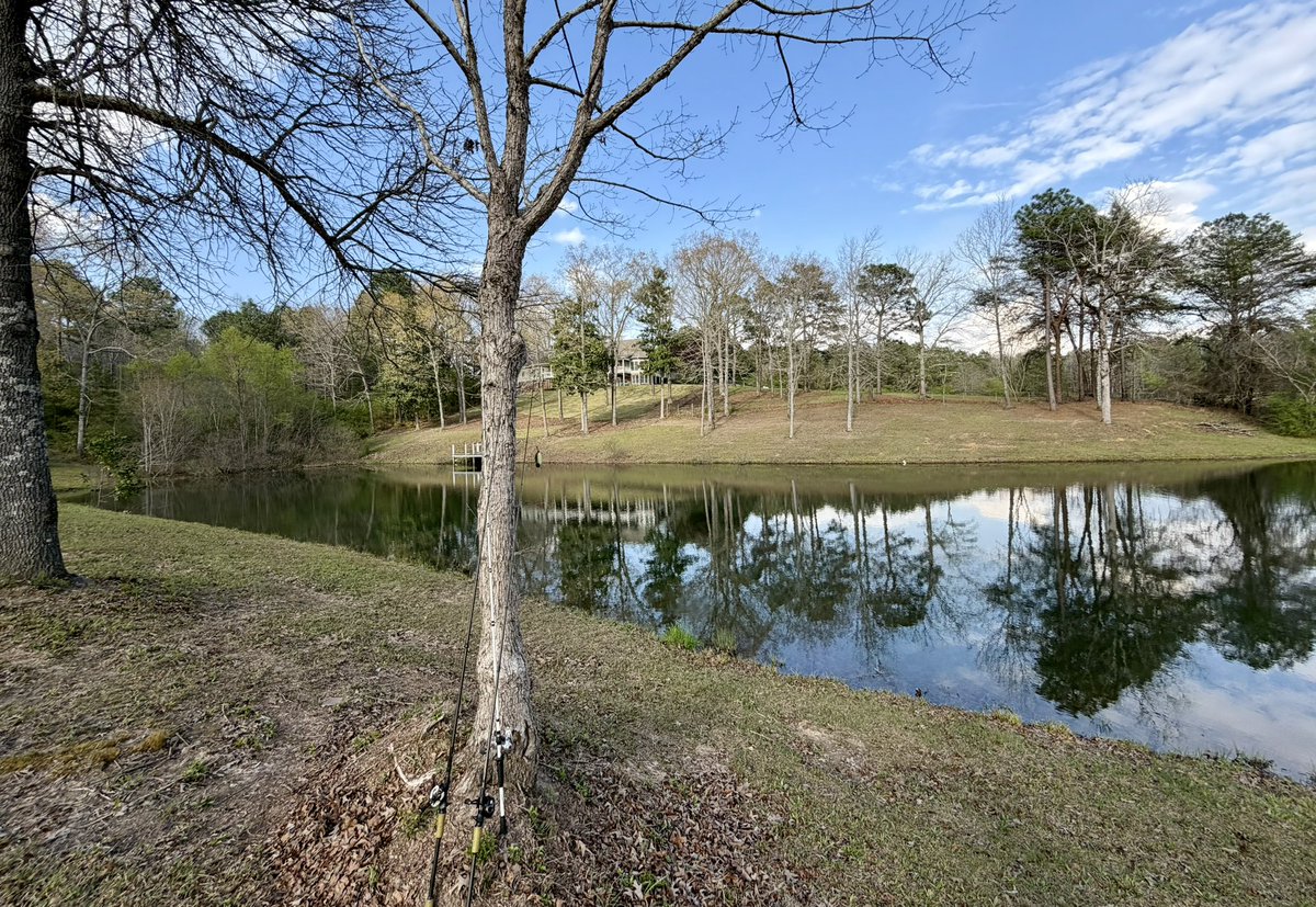 ✨S T E A R B S✨ tweet media