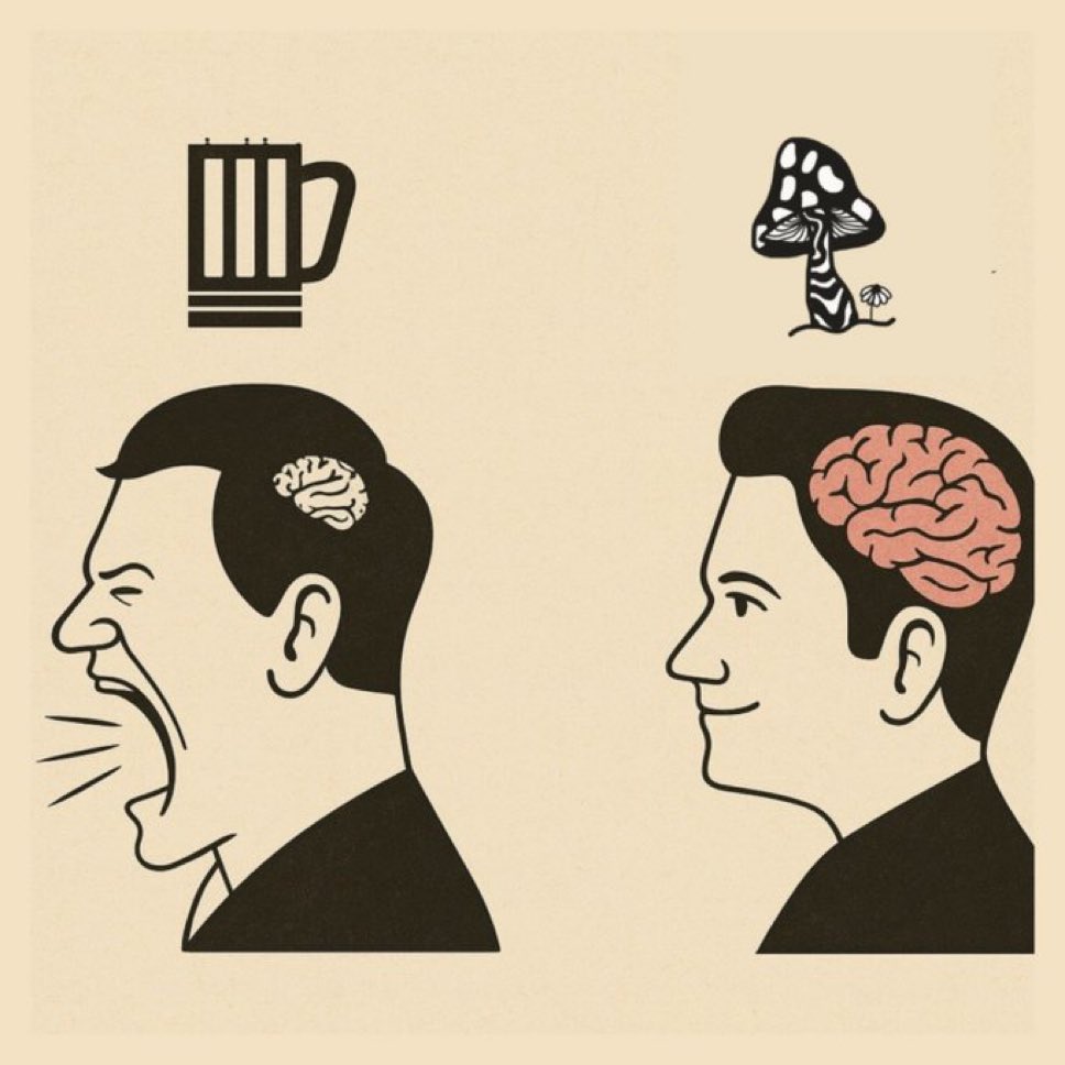 クサたろう tweet media