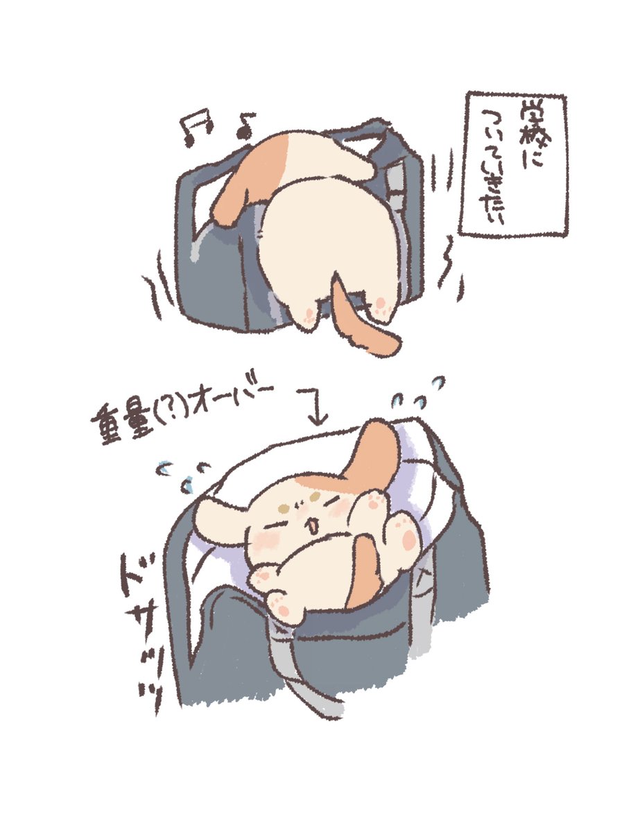 おくらちゃんさん:🌈西1-か60 tweet media