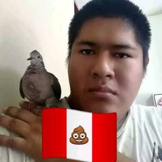 Byron Castillo ☄️ tweet media