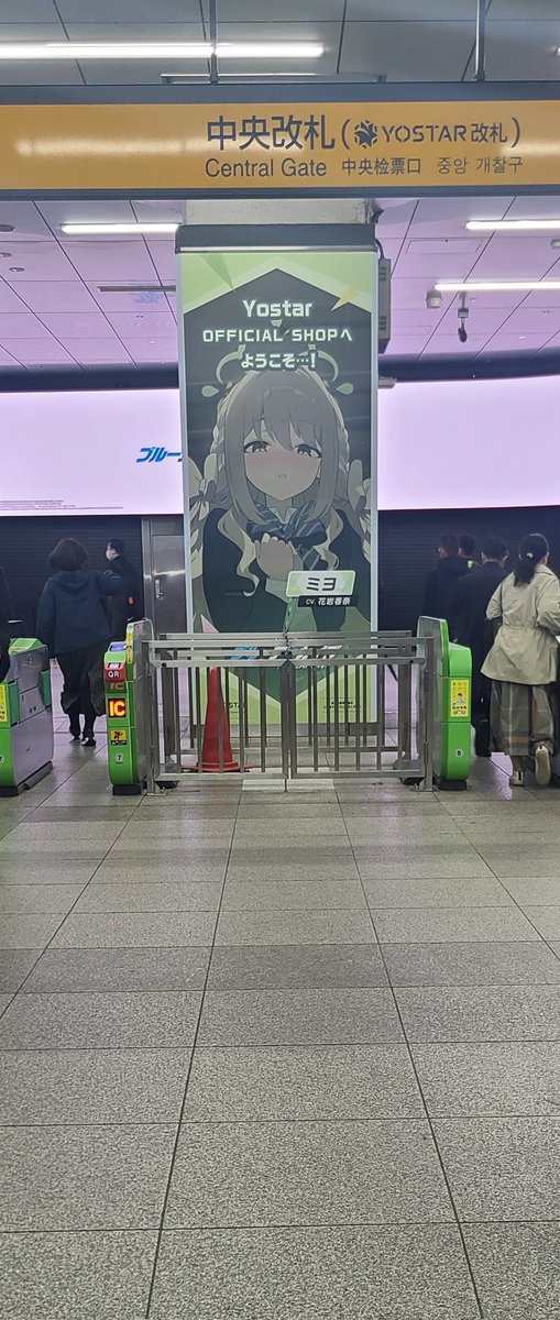 ひかる 🪼 tweet media