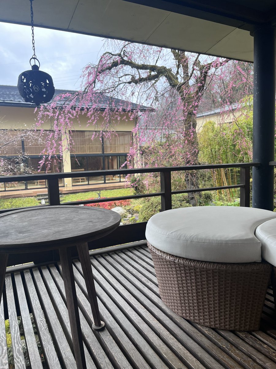 _takitei's tweet photo. 【お知らせ】
ランチの予約が便利になりました🥰

みなさまのご予約をお待ちしております‼️

https://t.co/5sxaAh5bkm https://t.co/30Gh09KdLk