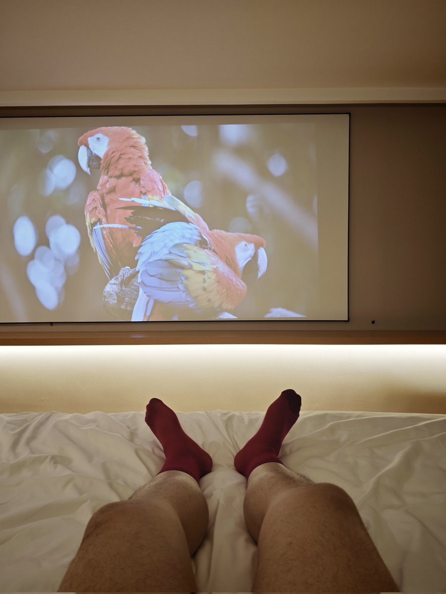 李霸霸-🐻 tweet media