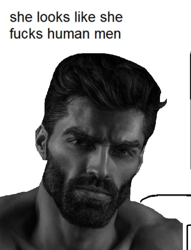 Rex 🌿 ♌️🎼🐱 | Follow Limit Sorry tweet media