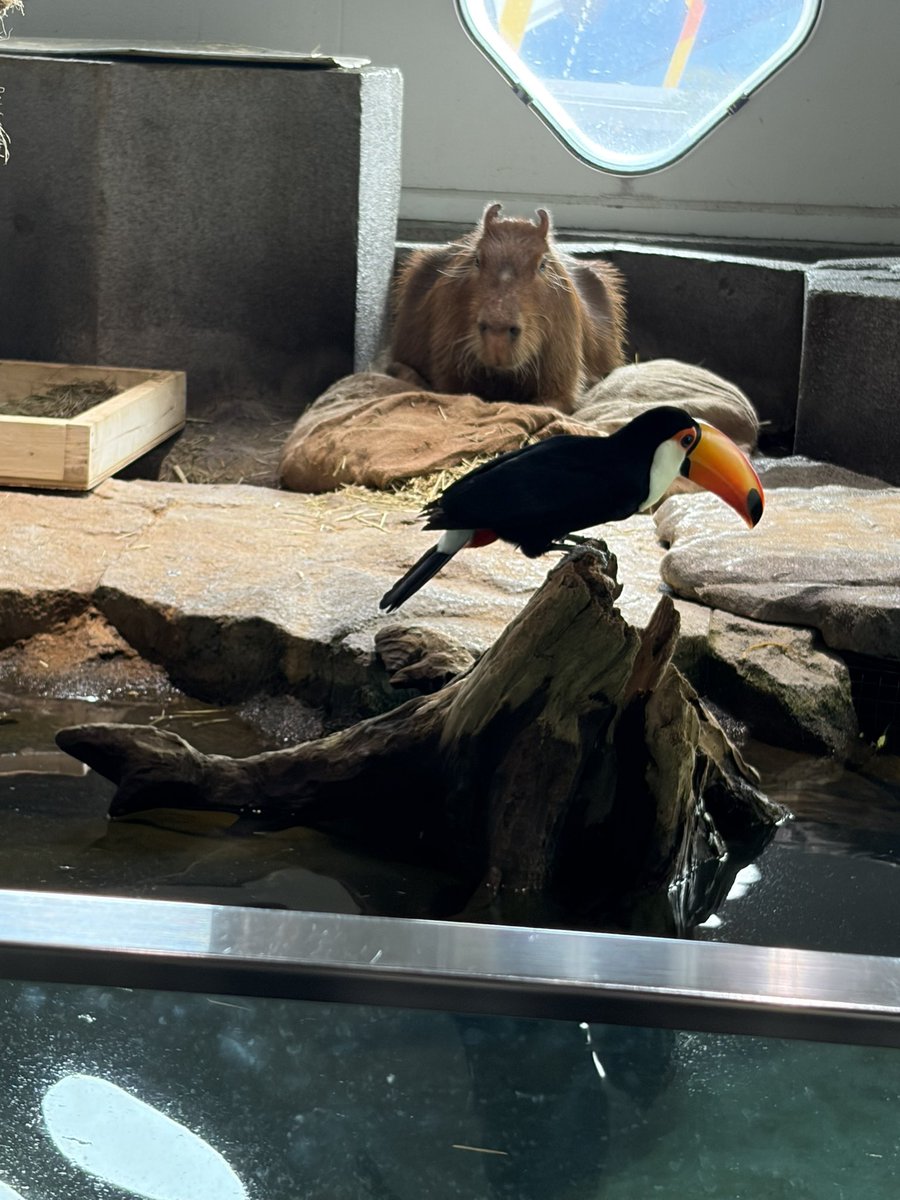 𝐸𝑡𝑢𝑑𝑒:𝐴@あーやん tweet media