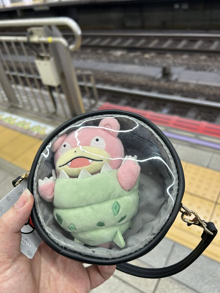 「飼い主狭いやぁん😂」