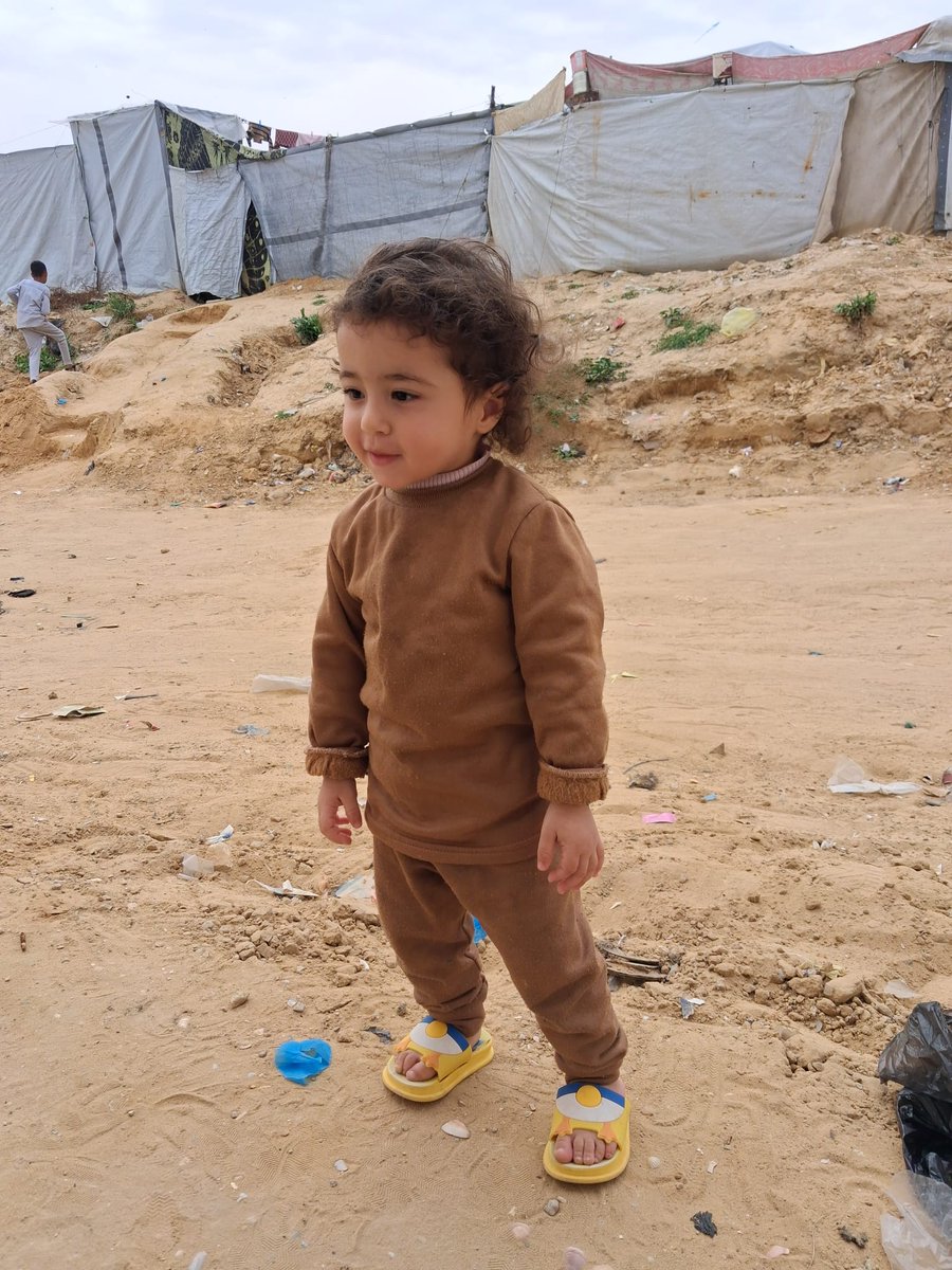 Shahed and Rafeef tweet media