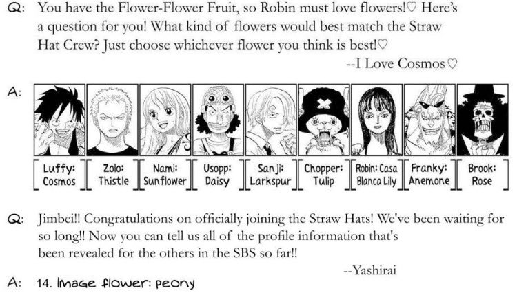 In an SBS, Eiichiro Oda associated each Straw Hat with a flower.

He chose the Casa Blanca Lily for Nico Robin which honestly fits her perfectly.
