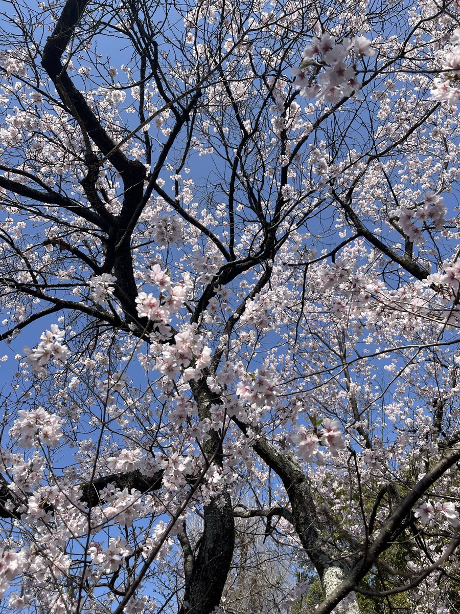 GLITCHER Re*GeN tweet media