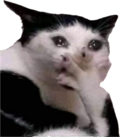 Matteo Culazo 🍑 tweet media