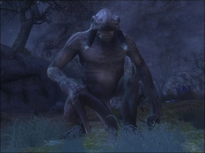 Venom Sofoets tweet media