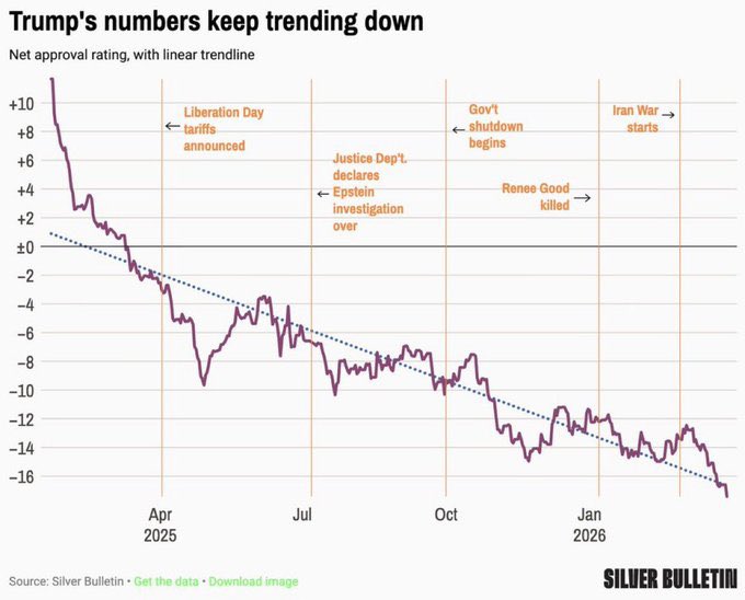 Camille Moscow 🇷🇺 🌿 ☦️ tweet media