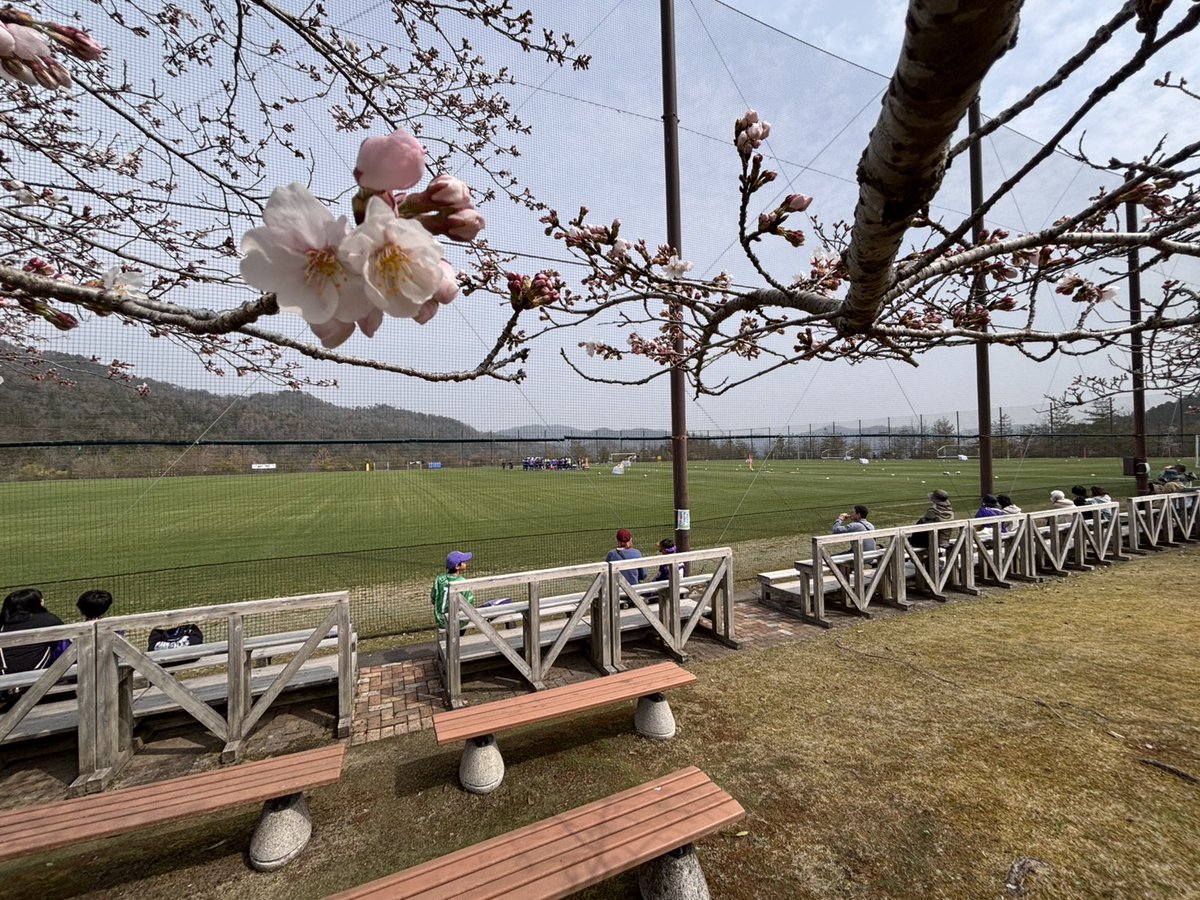 サンフレッチェ広島【公式】 tweet media