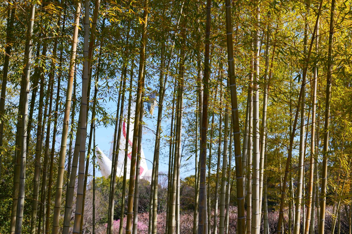 フナケン。@ぱんとも🌈 tweet media