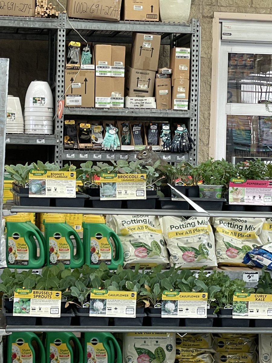 Mean Maria tweet media