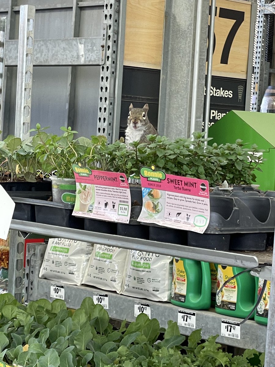 Mean Maria tweet media