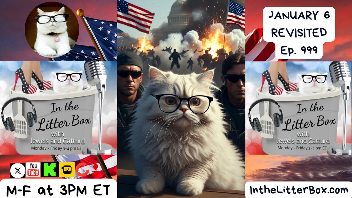 Jewels Jones ® tweet media