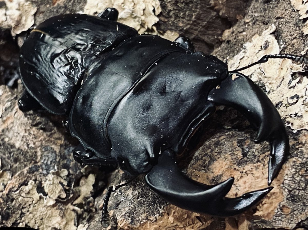 ゆーさん tweet media