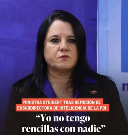 lobitachilena sin presidente 🖤 tweet media