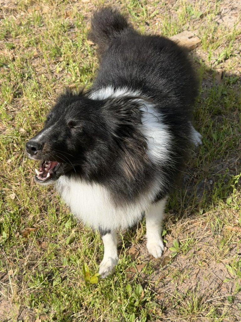 🤍DIOR🤎 tweet media