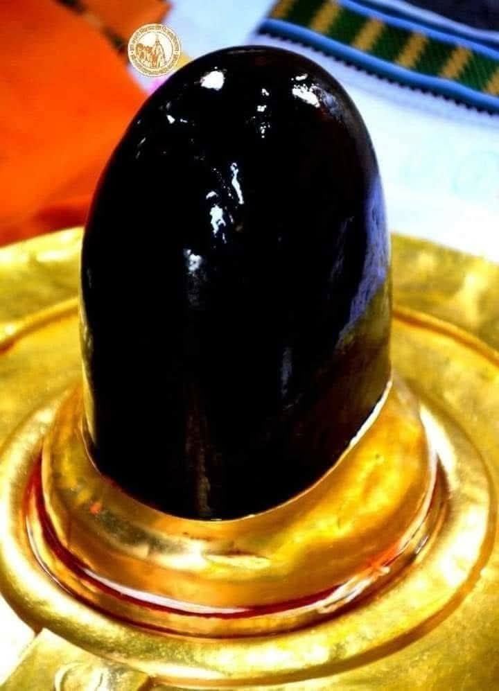 चंद्रभूषण शुक्ल tweet media