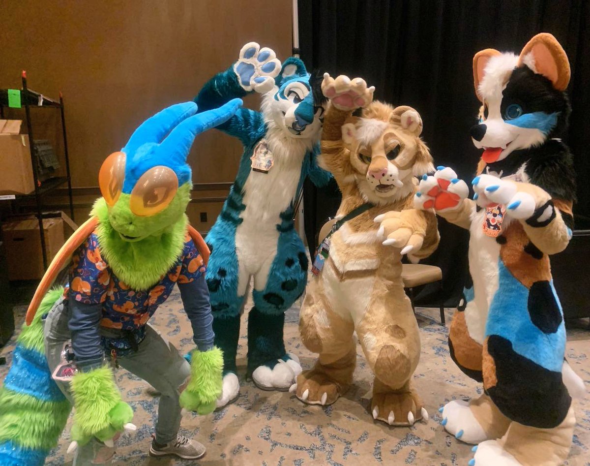 Grey ✨🩵 🔜 TFF tweet media