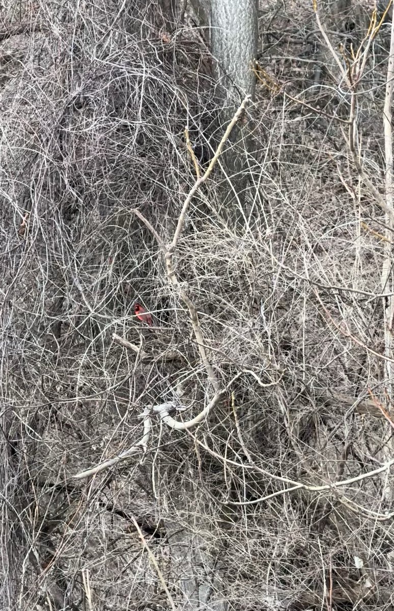 🪬³³³ tweet media