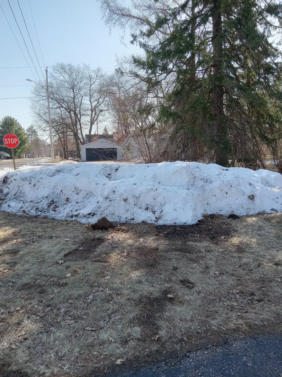 Carrie Rae tweet media