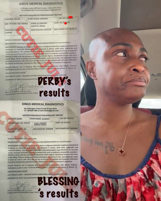 NAIJA INSIGHT tweet media