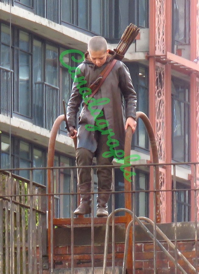 Portal The Last of Us tweet media