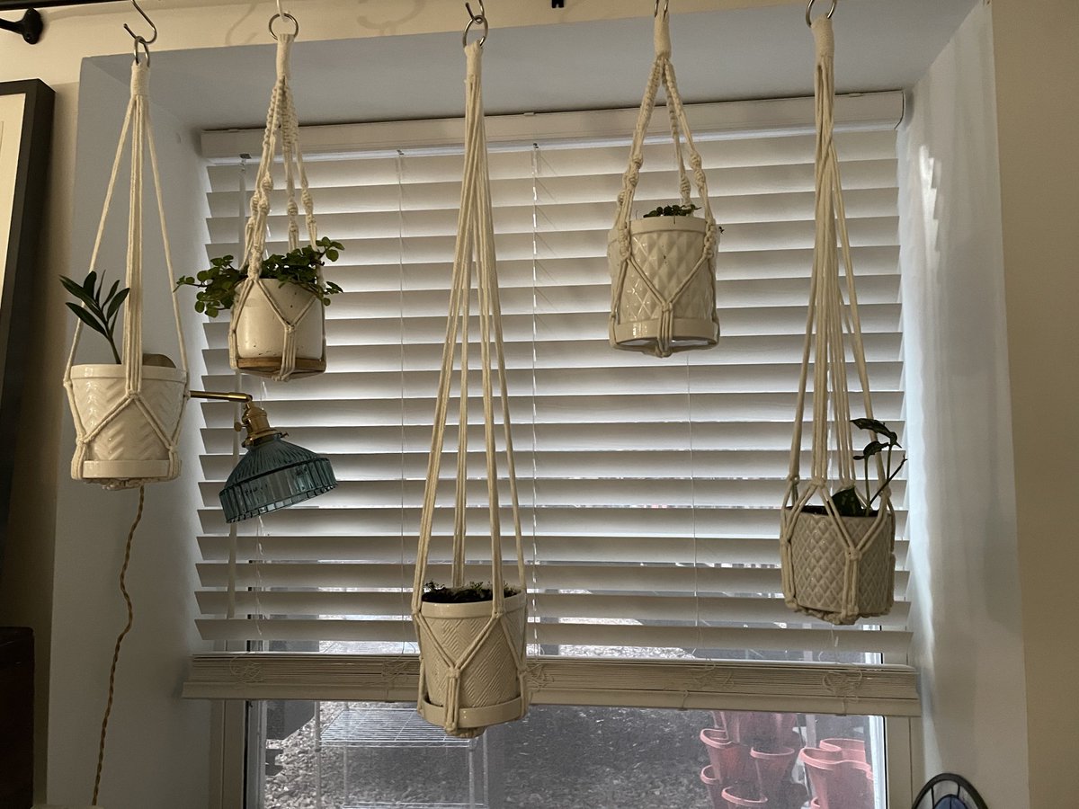 Mean Maria tweet media