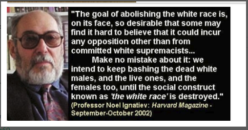 Lewis Zero tweet media